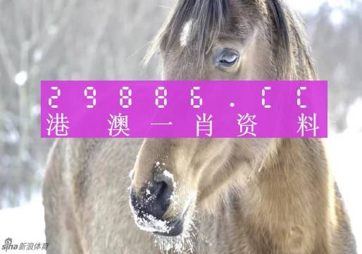 澳门一肖一码100%精准|词语释义解释落实|0.348211631