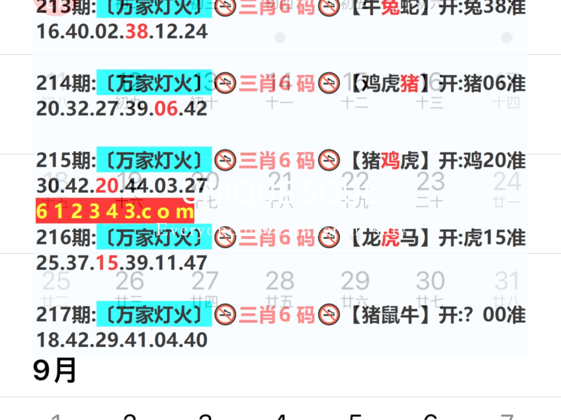 2024年新奥门王中王开奖结果|内容释义解释落实|0.119111242